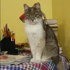 Отзыв от Фаина Шубина